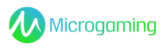 micro footer logo