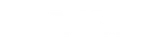 VISA footer logo